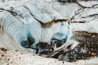 Close-up of turtle on rock