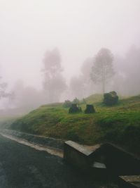 Empty road in foggy weather