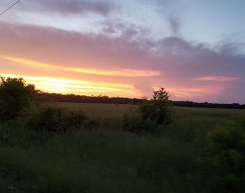 Scenic view of field against sky during sunset