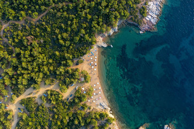 Aerial drone view of beach umbrellas and sunbeds on the coast in thassos island, greece