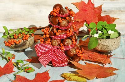 High angle view of chestnut decoration in autumn on table