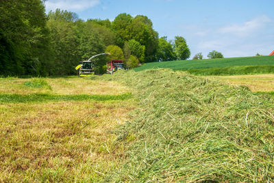 Tractor on field against trees