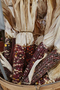 Rustic, dried corn in a bucket at a farmers market during fall harvest season in woodstock, vermont 