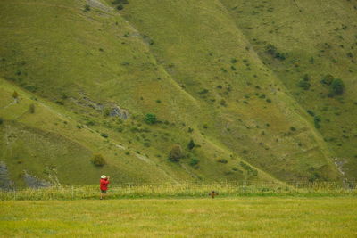 Scenic view of green field against sky