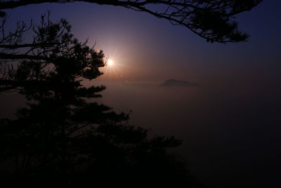 Silhouette trees against calm sea at sunset