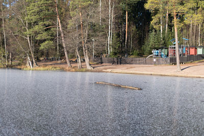 Road by trees in city