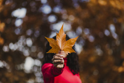 Person holding maple leaf during autumn