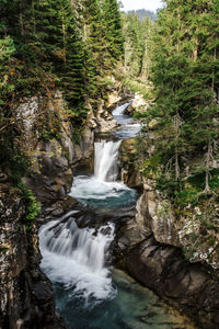 Scenic view of waterfall in forest