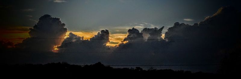 Silhouette of trees at sunset