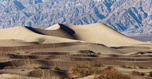 Scenic view of desert against mountain