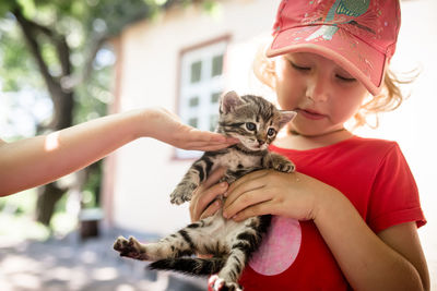 Midsection of woman feeding cat