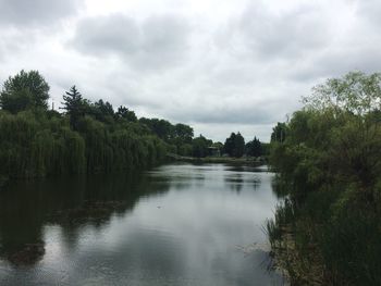 Scenic view of river in forest against sky