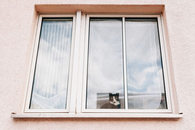 Low angle view of window
