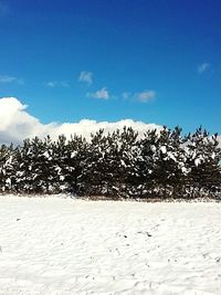 Trees on landscape against blue sky