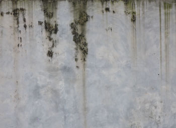 Full frame shot of weathered wall