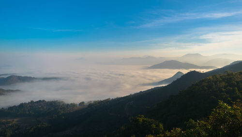 environment