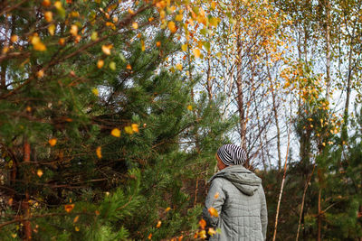 Back view of young woman in striped hat and gray jacket walking in yellow and green autumn forest. 