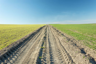 Dirt road amidst agricultural field against sky