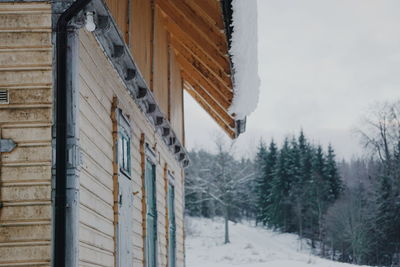 Low angle view of house amidst trees during winter