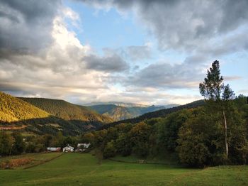 Scenic view of field against sky