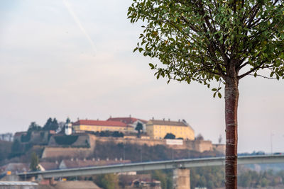 View of bridge over river in city