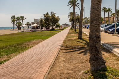 Road by palm trees in city against sky