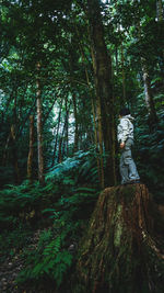 Man standing by tree trunk in forest