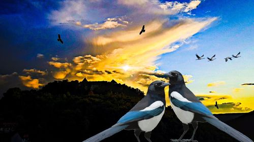 Birds perching on top against sky