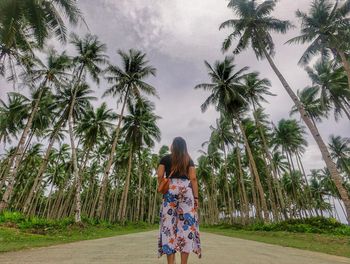 Rear view of woman standing on footpath amidst palm trees