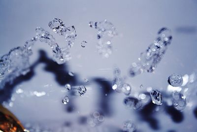 Close-up of water drops on leaf