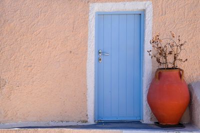 Potted plant on wall