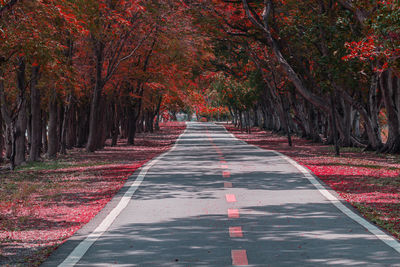 Footpath amidst trees in park during autumn