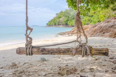 Driftwood on beach against sky