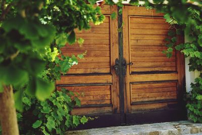 Closed wooden door of house