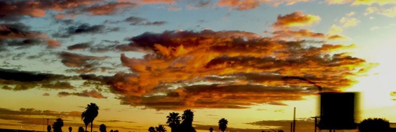 Silhouette trees against sky during sunset