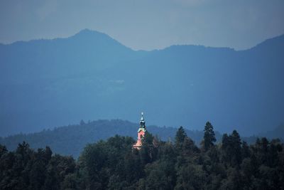 View of trees against mountain range