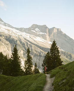 Mountain view while hiking in the swiss mountains in summer. medium format kodak portra 400 film.