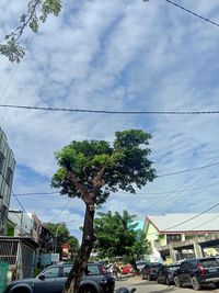 Street amidst trees and buildings against sky