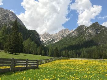 Scenic view of field against sky