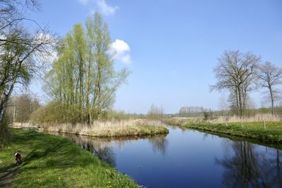 Scenic view of lake by trees against sky