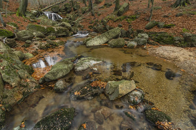 High angle view of stream amidst rocks in forest