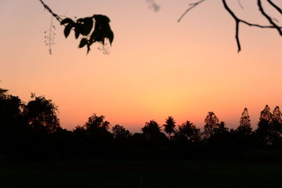 Silhouette birds flying against sky during sunset