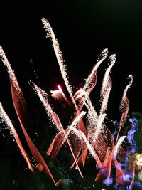 Close-up of firework display over water at night