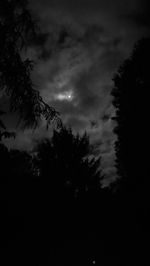 Low angle view of silhouette trees against sky at night