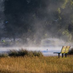 View of calm countryside lake