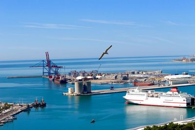 Bird flying over harbor