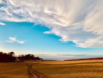 Scenic view of field against sky