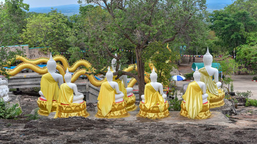 Rear view of buddha statue against trees