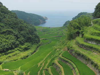 High angle view of land and trees against sky