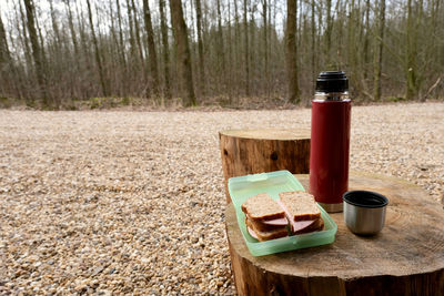 Lunch break during a hike.